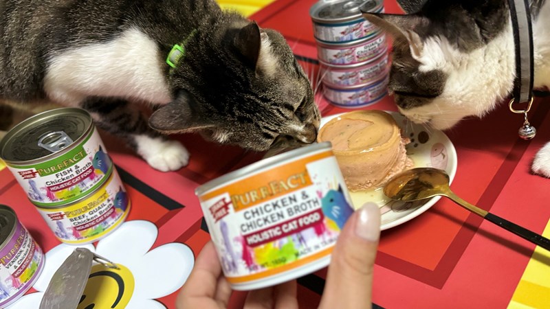 女人知己試用大隊,口碑行銷,部落客行銷,PURRFACT 波菲特貓用主食罐,主食罐,PURRFACT波菲特,貓主食罐,貓罐,PURRFACT波菲特貓用主食罐,魚肉蔓越莓主食罐,鮮嫩雞主食罐,鹿肉雞肉主食罐,牛肉鵪鶉貓主食罐,干貝蠶蛹配方,鱷魚肉白木耳配方,雞肉魚肉配方,安心鶉配方,評價,體驗,適口性佳,心得,成貓適用,高齡貓適用,質地是慕絲狀